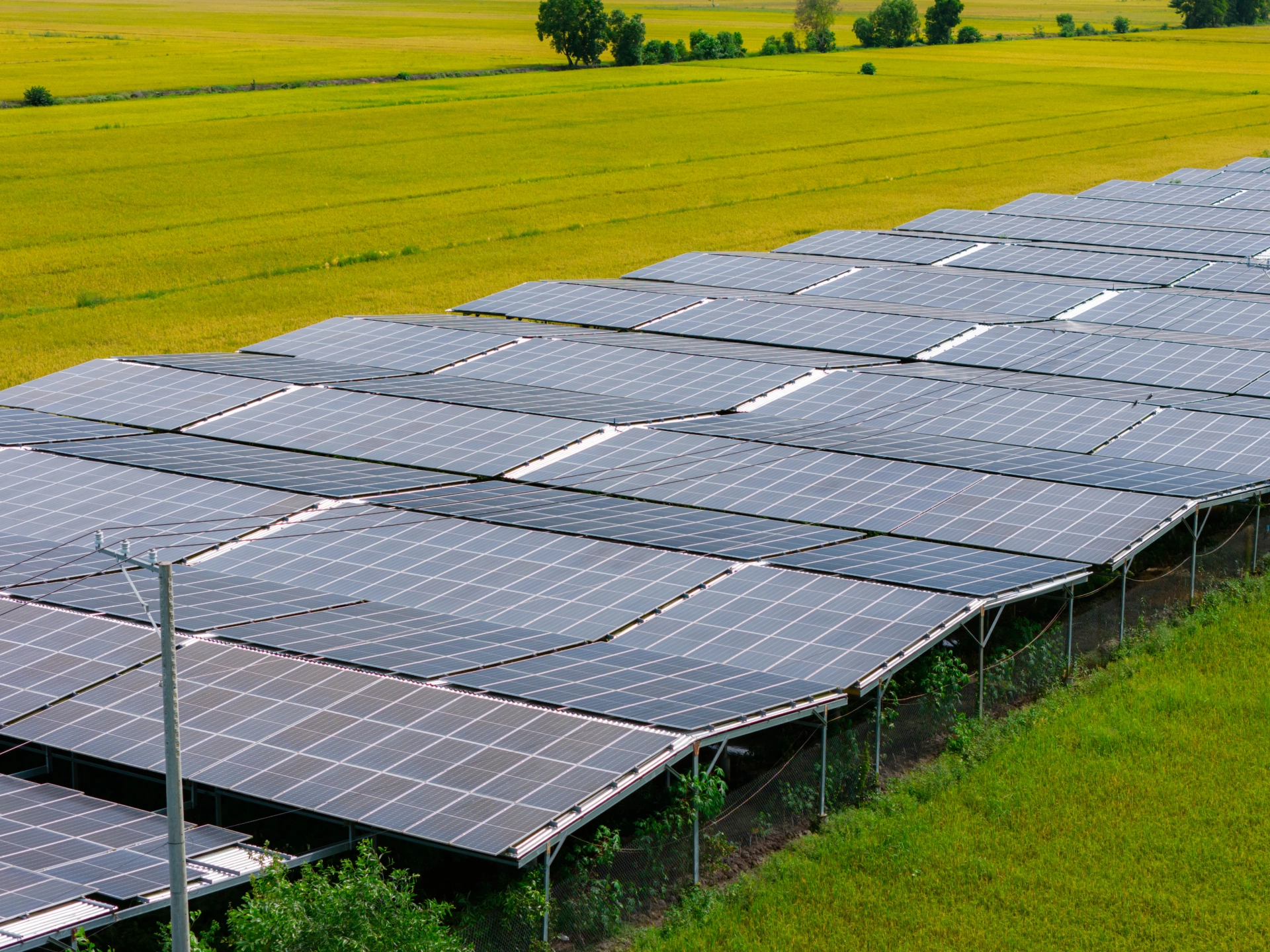 kinh doanh năng lượng mặt trời